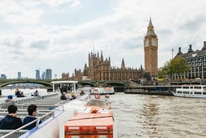 River Thames Hop-On Hop-Off Sightseeing Cruise