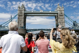 London: Sightseeing-cruise på Themsen