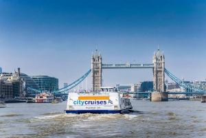 London: Sightseeing-Kreuzfahrt auf der Themse