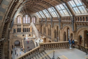 Лондон: пешеходная экскурсия по Королевскому Кенсингтону