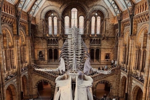 Лондон: пешеходная экскурсия по Королевскому Кенсингтону