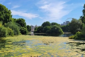 Londres: Tour a pie de la realeza y audioguía del Palacio de Buckingham
