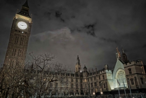 London : Royal Westminster By Night Walking Tour