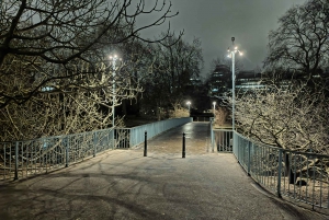 London : Royal Westminster By Night Walking Tour