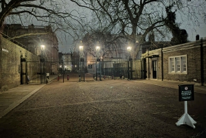 London : Royal Westminster By Night Walking Tour