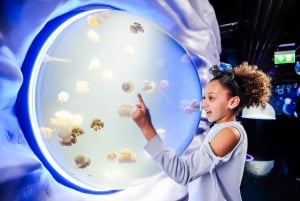 London: Inträdesbiljett till Sea Life Aquarium