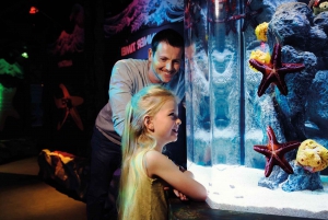 London: SEA LIFE & London Eye Combo Ticket
