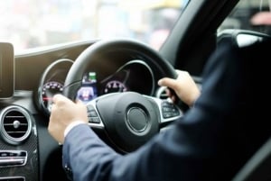 Лондон: Частная самостоятельная экскурсия с шофером