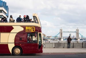 Londres: tour nocturno en autobús grande