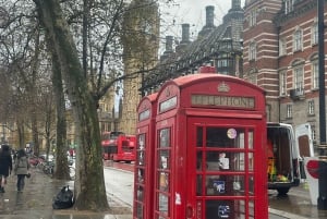 Londra: tour panoramico in taxi privato