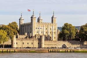 Londen: Sightseeing Taxi Tour Experience