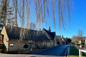 Londres : Excursion en petit groupe dans les Cotswolds avec Bourton-on-the-Water