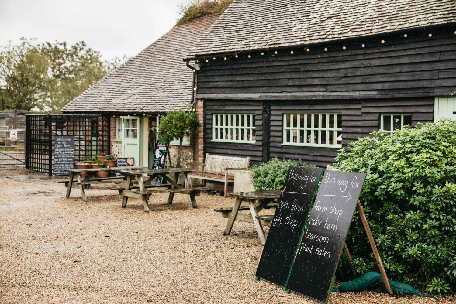 London: South Downs White Cliffs-dagstur med tågbiljetter