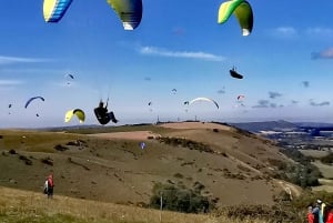 London: South Downs White Cliffs-dagstur med tågbiljetter