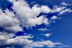 London: South Downs White Cliffs-dagstur med tågbiljetter