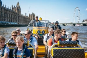 Londra: tour panoramico in motoscafo