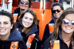 London: Speedboot-Tour im Herzen der Stadt