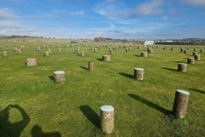 London: Stonehenge and Woodhenge Private Black Cab Tour