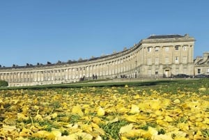 London: Stonehenge, Bath, Lacock, & Avebury Small Group Tour