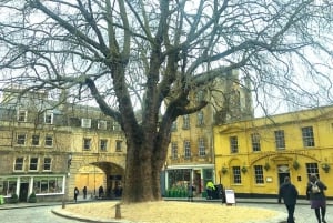 London: Stonehenge, Bath, Windsor, and Roman Baths Day Tour