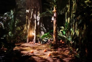 London: Das Paddington Bär Erlebnis