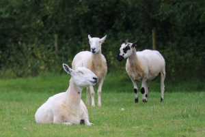 ロンドン：コッツウォルズのトップ7スポット＋シェイクスピアのストラトフォード