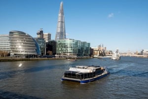 London: Tower- og Westminster-tur med elvecruise