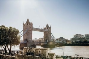 London: Tower och Westminster Tour med flodkryssning