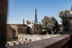 Londen: Toren en Westminster Tour met rondvaart op de rivier