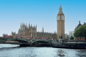 Лондон: экскурсия по Тауэру и королевским драгоценностям с легким доступом