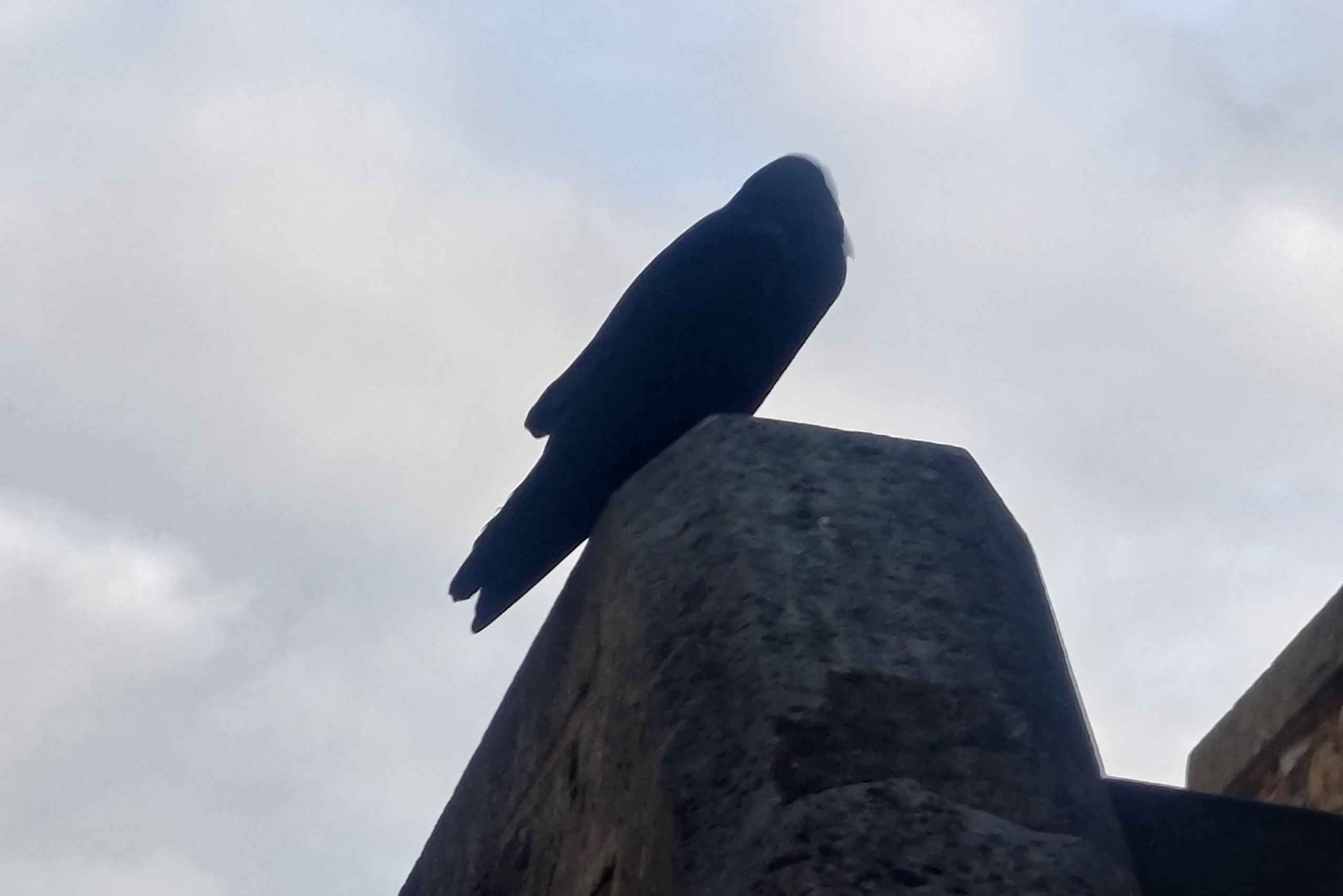 Лондон: Частная экскурсия в Лондонский Тауэр и Тауэрский мост