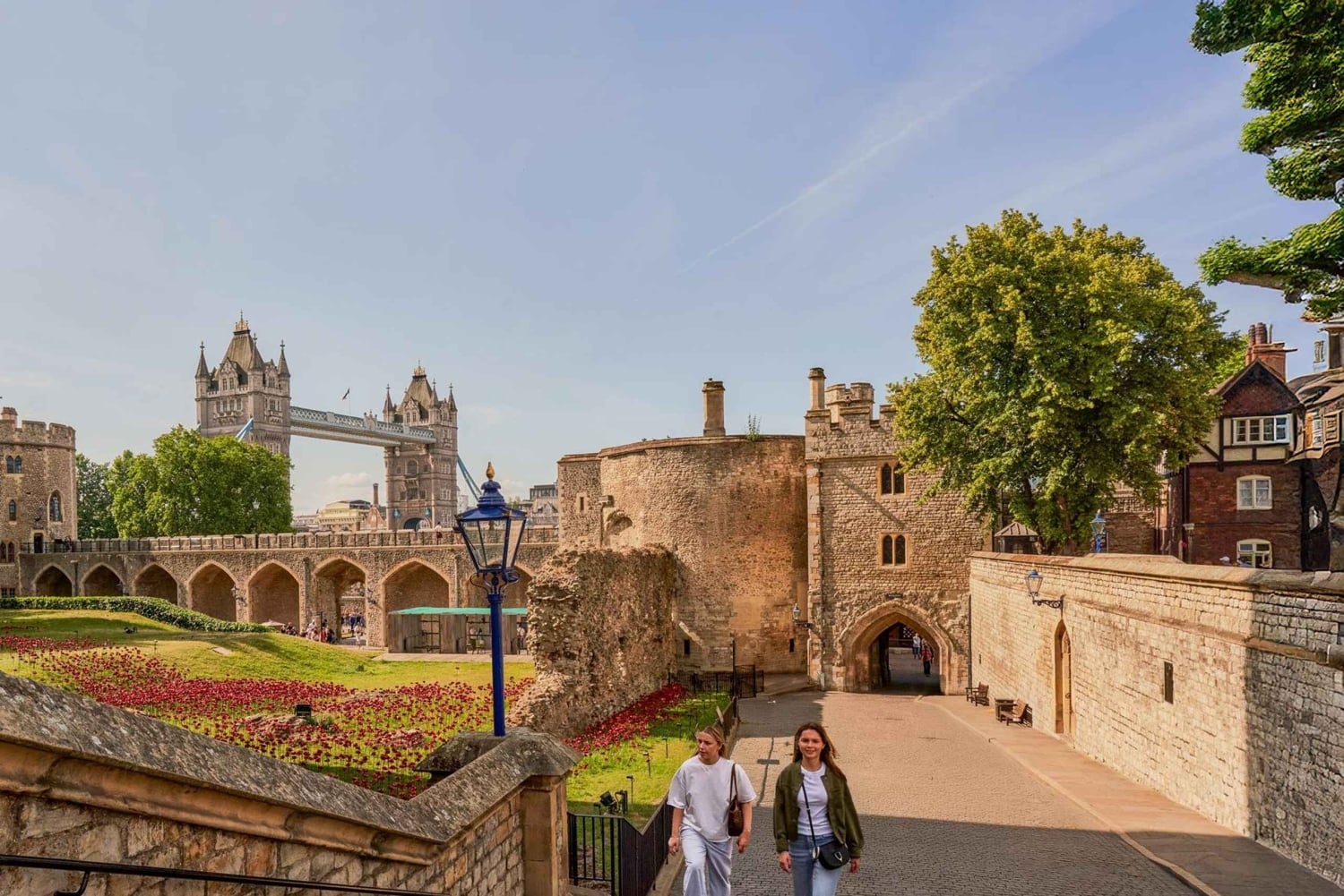 Londres : Visite guidée de la Tour de Londres avec tour en bateau