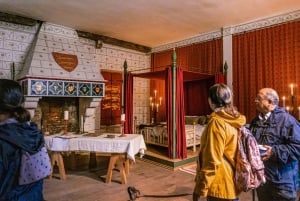 Londres : Visite guidée de la Tour de Londres avec tour en bateau