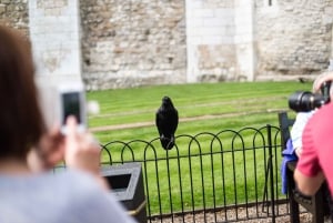 London: Rundtur i Tower of London med kronjuveler og Beefeaters