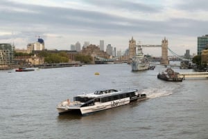 Londen: Uber Boat 1-Daagse Hop-on-hop-off-boot en Cable Car Tickets