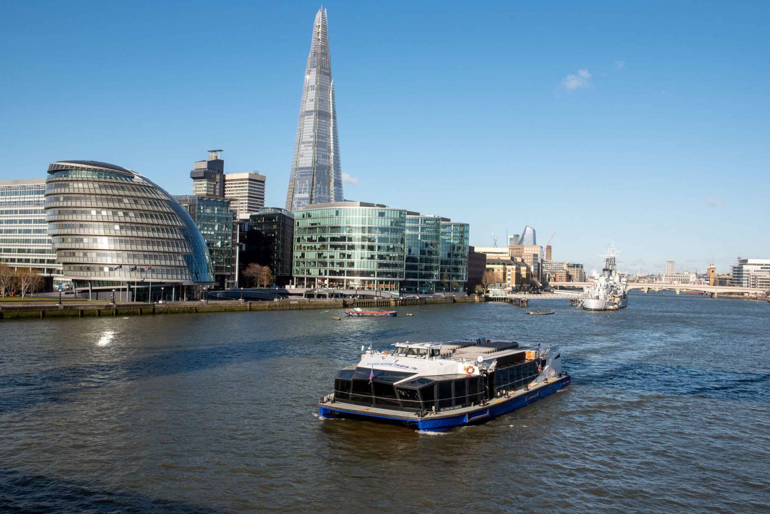 Londres: Excursión definitiva de un día con Torre, Abadía y Crucero
