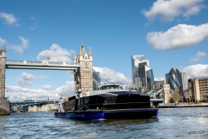London: Warner Bros. Studio-omvisning og cruise på Themsen