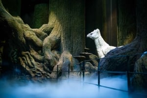 Londyn: wycieczka po Warner Bros. Studio i bilet na pociąg w obie strony