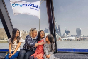 London: Single Cruise Ticket fra Westminster til Greenwich