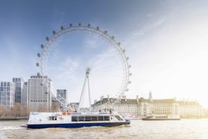 Londres Billete sencillo de crucero de Westminster a Greenwich