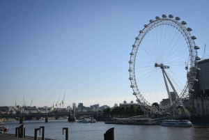 Londres: Visita a Westminster, crucero por el río y Torre de Londres