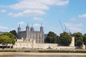 London: Westminster Tour and Tower of London & Tower Bridge!