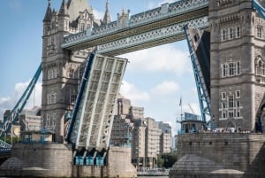 London: Westminster Walking Tour og besøk Tower Bridge