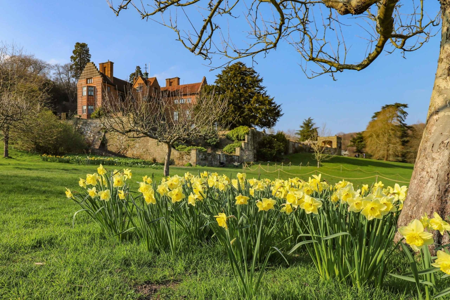 Londres : Maison familiale Winston Churchill avec transport