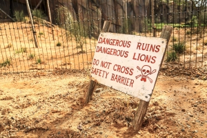 Dierentuin Londen: Toegangsbewijs