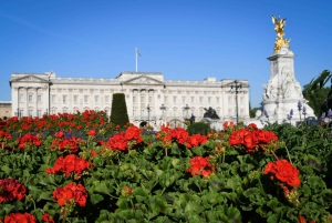 Londra: Tour a piedi dei palazzi e del Parlamento