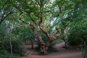 Tour del Signore degli Anelli nelle Cotswolds: il viaggio inizia
