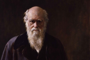 National Portrait Gallery London: Private Guided Tour 3 Stunden