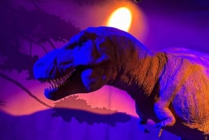 Londres: Museo de Historia Natural Visita guiada privada