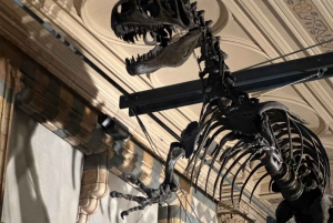 Londres: Museo de Historia Natural Visita guiada privada